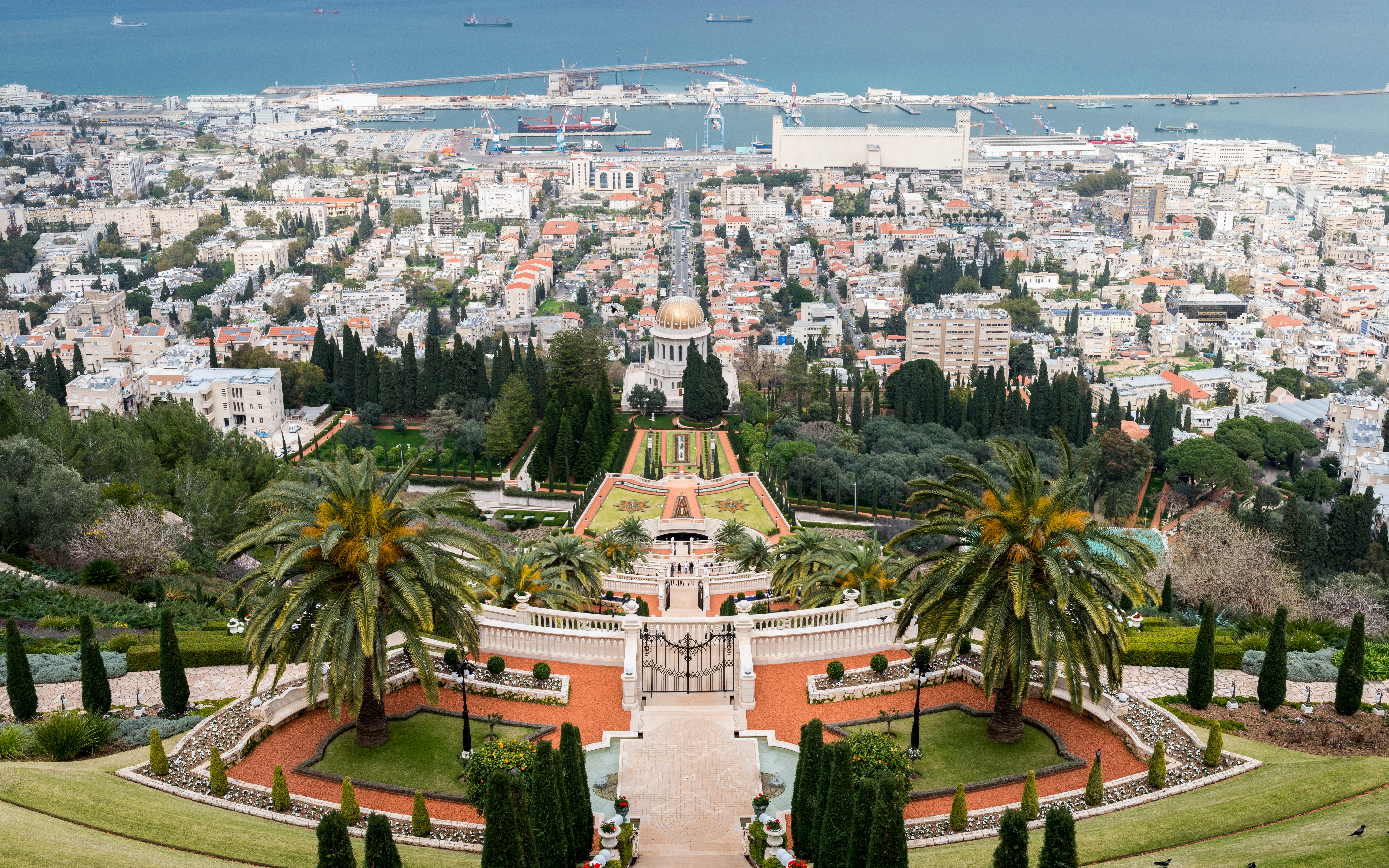 ali baba haifa