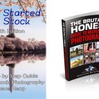 Washington Monument towers above blossoms