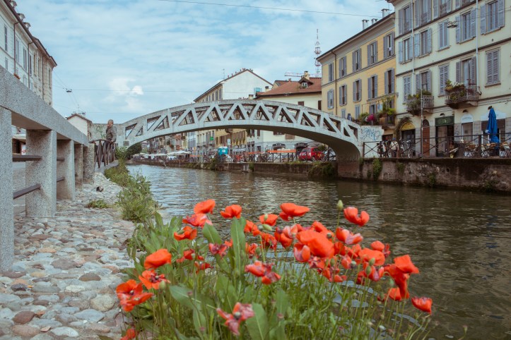 navigli flowers3