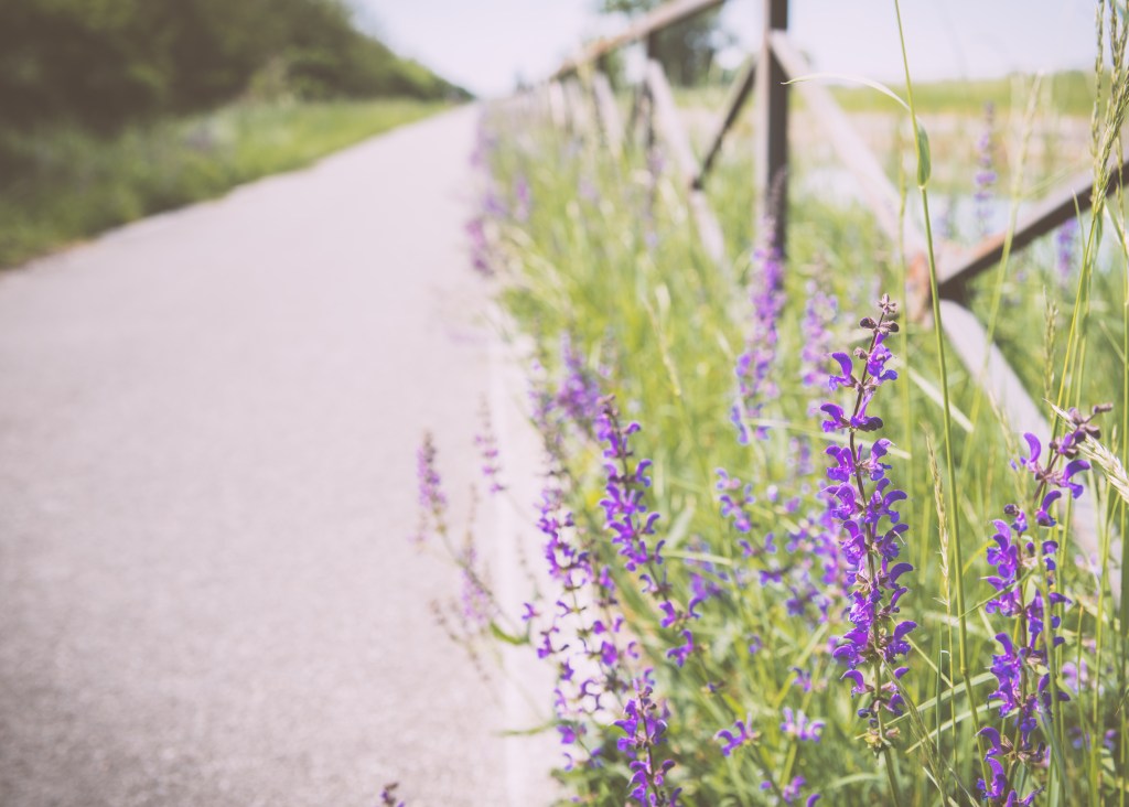 Stock Photos: Royalty-Free or Rights-Managed and why you should know the&nbsp;difference!