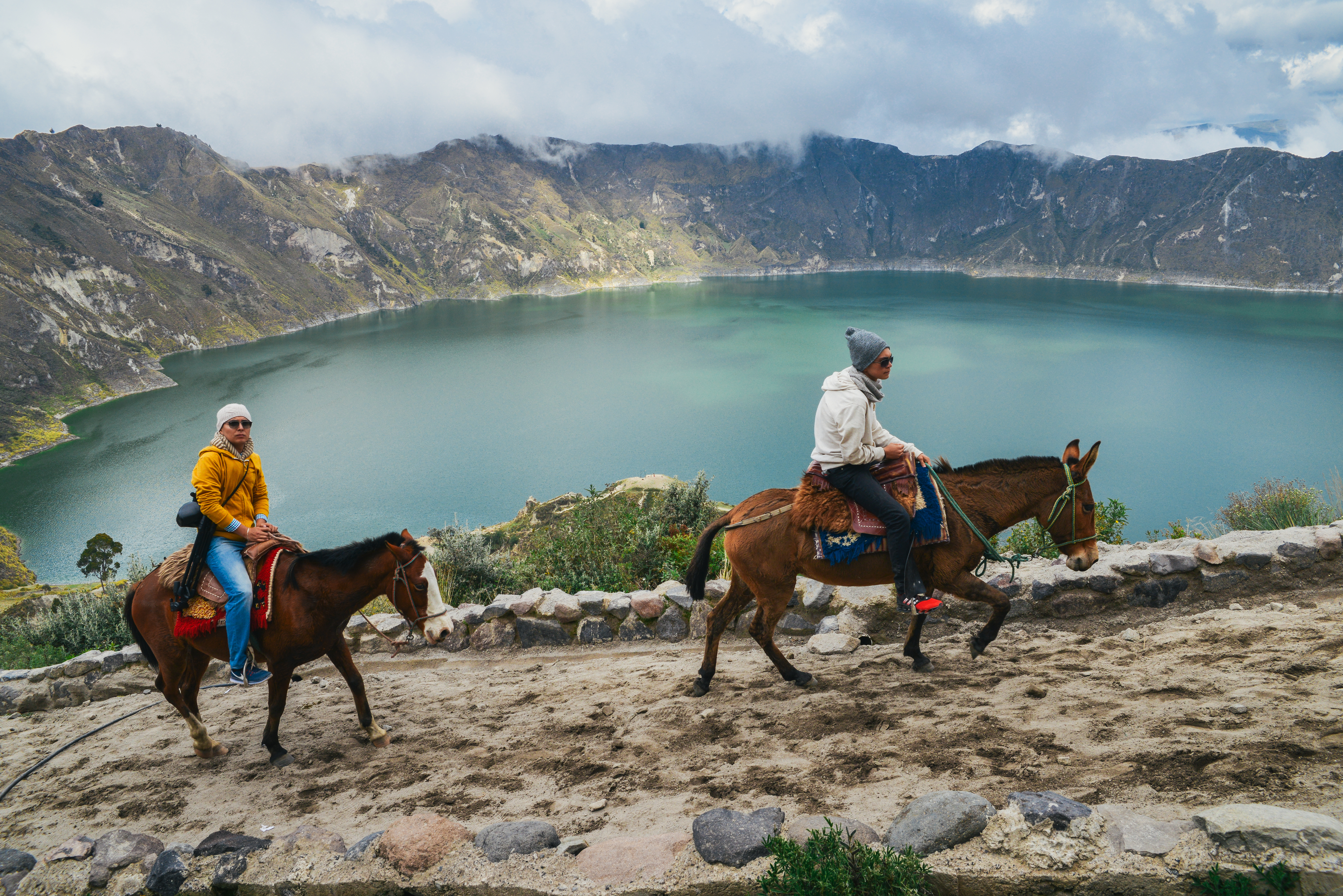 path to lake with horses