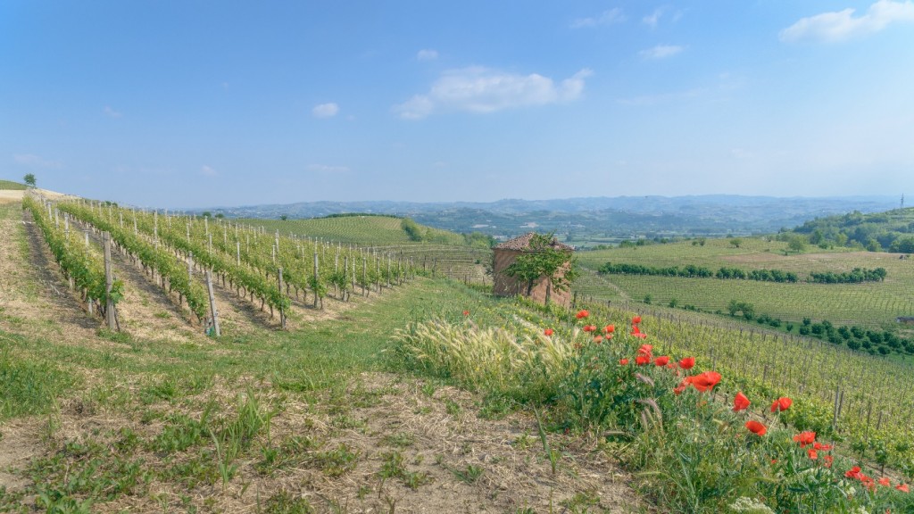 Piedmont7-1024x576