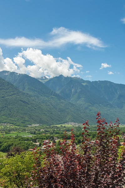plants at sondrio