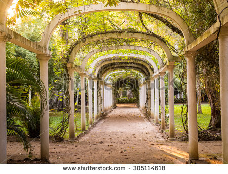 stock-photo-parkway-in-rio-de-janeiro-botanical-garden-brazil-305114618