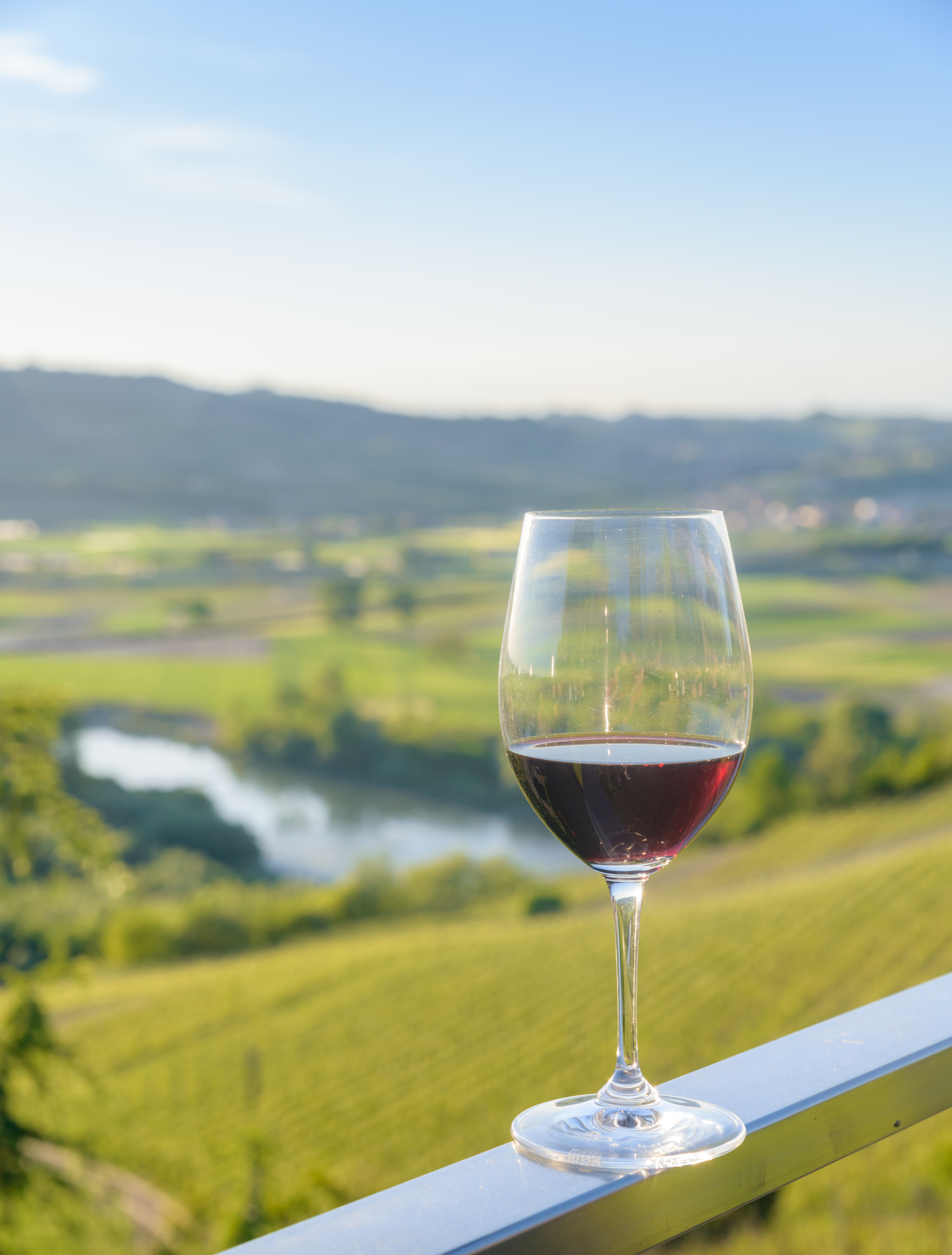 wine