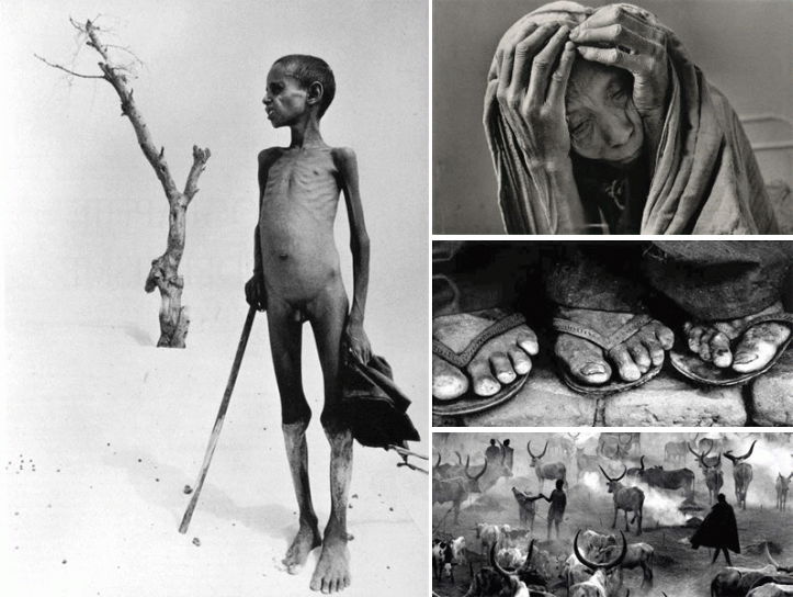 b3a389ae6526f0ebccbb60bb62e125e3