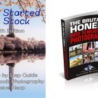 Washington Monument towers above blossoms