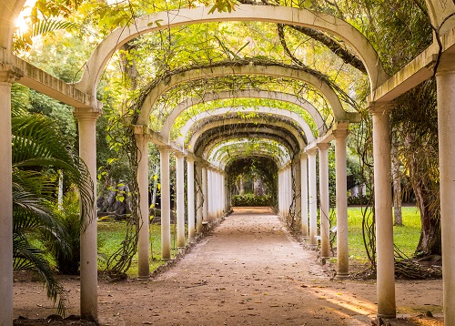 Jardim Botanico