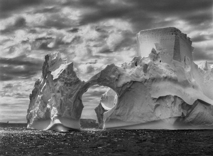 Salgado_Iceberg