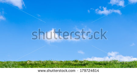 stock-photo-grass-and-blue-sky-179724614