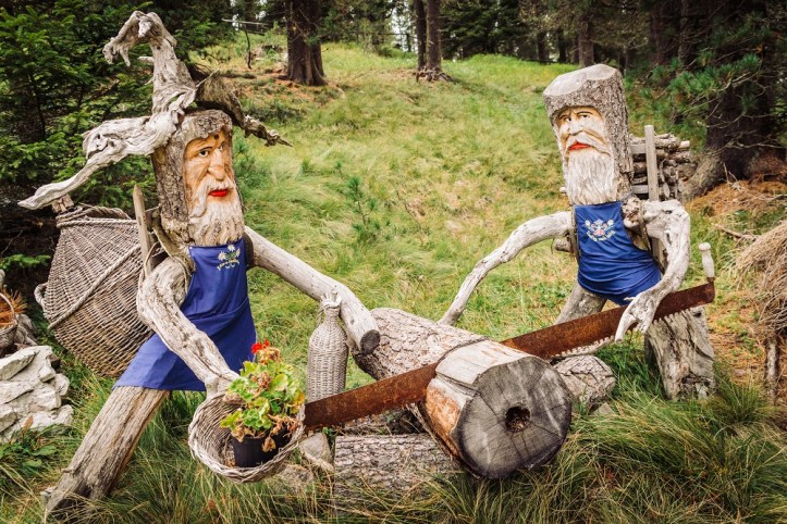 Dolomites, South Tyrol, Italy-9 - Copy