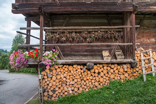 Fresh onions lined up on a stall for sale in South Tyrol, Italy