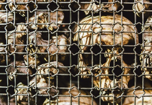 The evocative crypt of San Bernardino alle Ossa, Milan, Italy