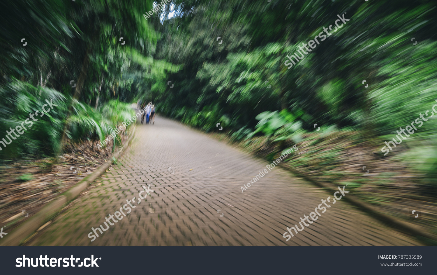 stock-photo-purposely-out-of-of-focus-path-in-woods-with-people-headache-nausea-and-illness-metaphor-787335589