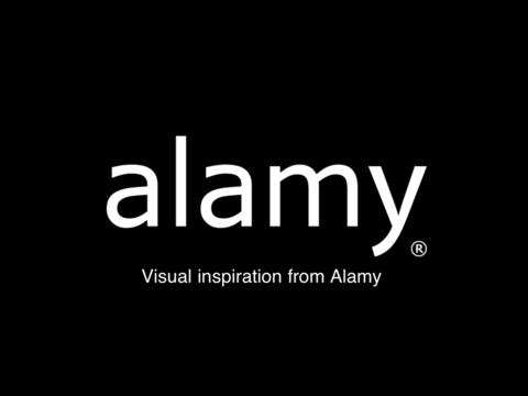 Do Alamy Buyers Search Elsewhere? Answers from&nbsp;Alamy