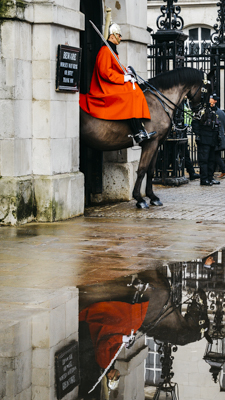 horse