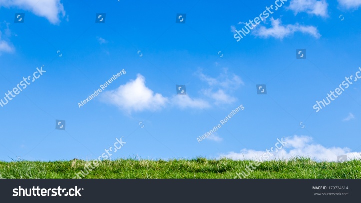 stock-photo-grass-and-blue-sky-179724614
