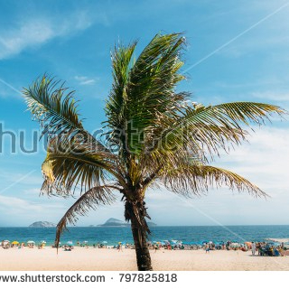 My Top 5 Enhanced / Extended Licenses at&nbsp;Shutterstock