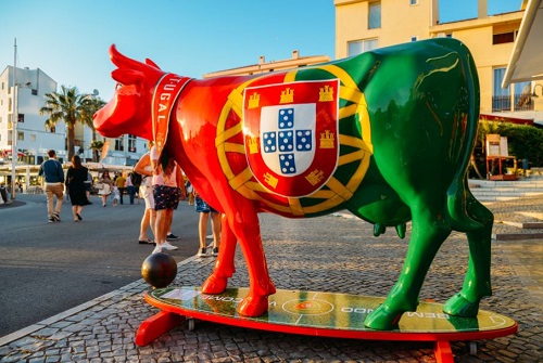 cow