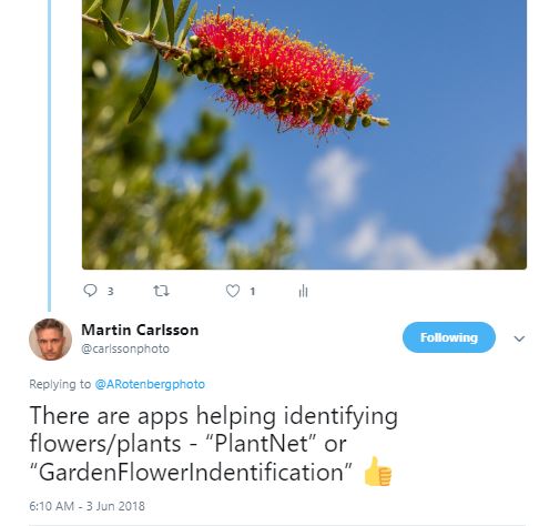 martin