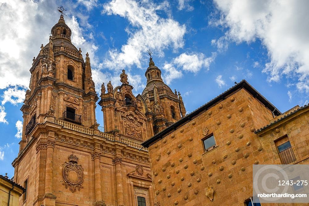 Facade to 16th-century Gothic palace covered in symbolic seashell motifs, now an exhibition space &amp; library, Salamanca, Spain
