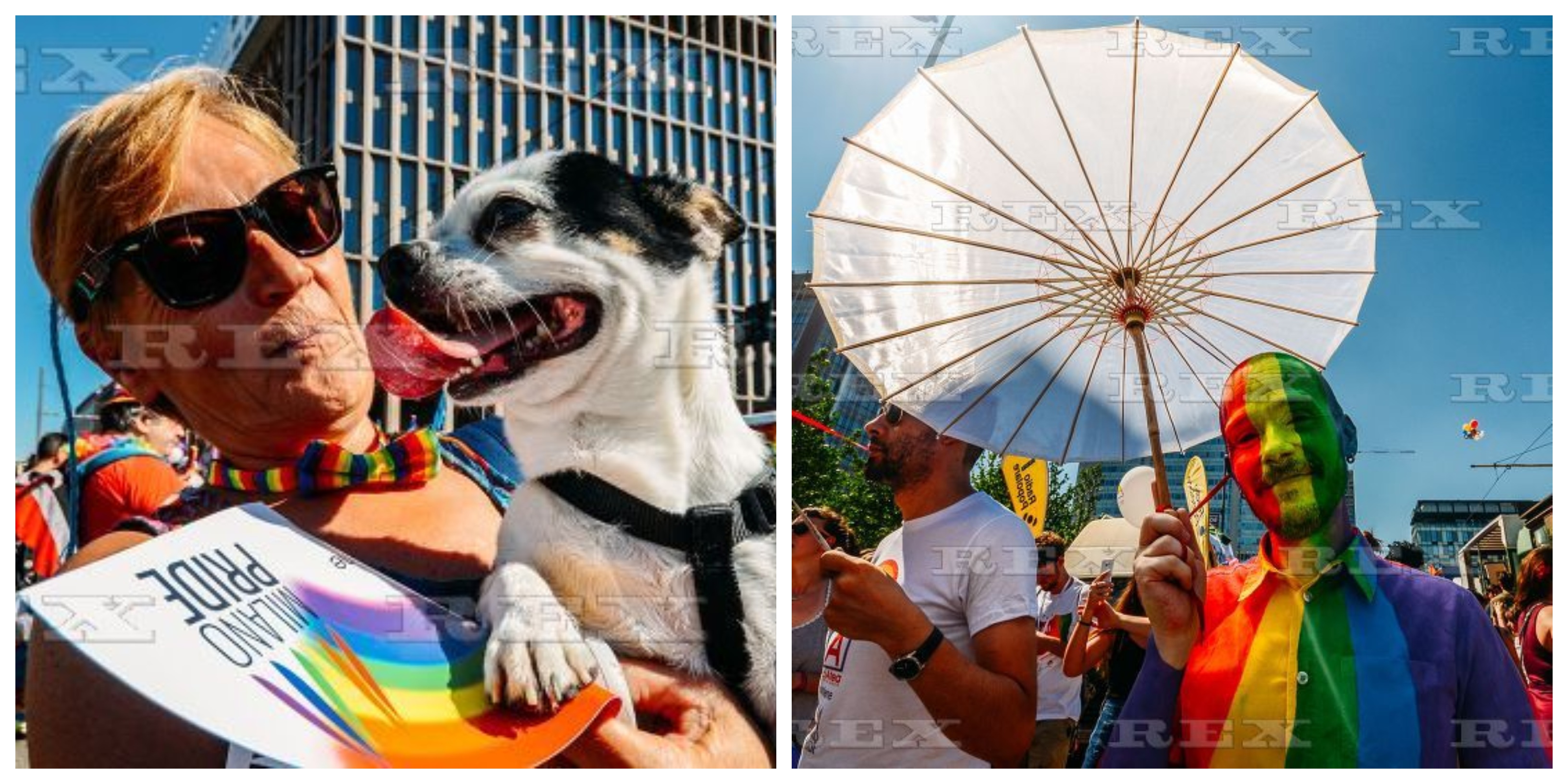 gay pride2