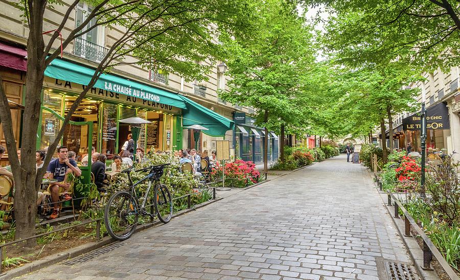 paris-in-the-spring-alexandre-rotenberg