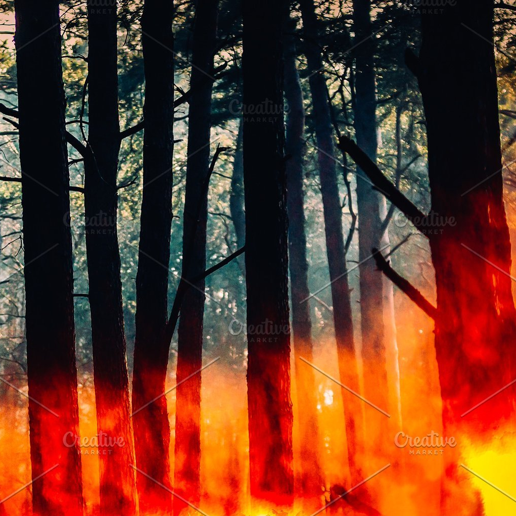 Save the Brazilian Amazon Stock&nbsp;Concepts