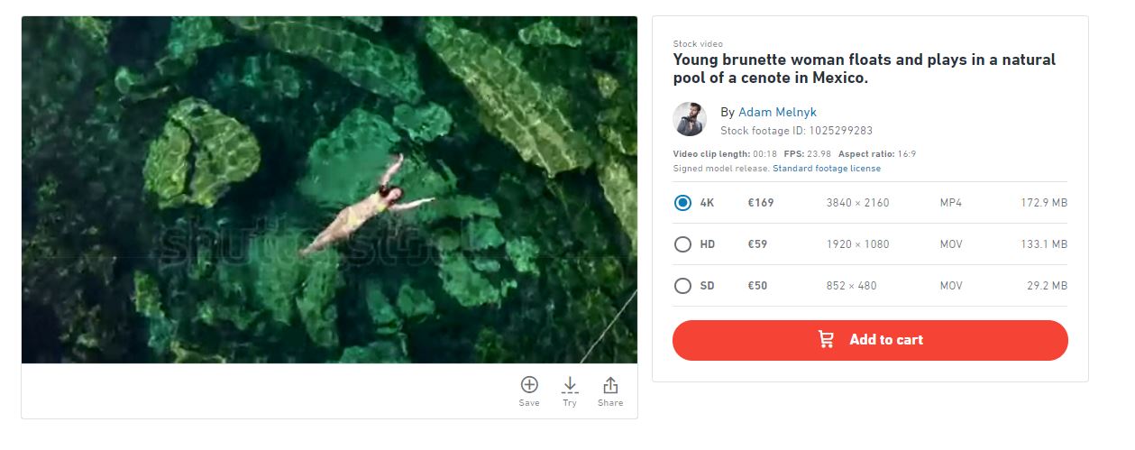 mermaid