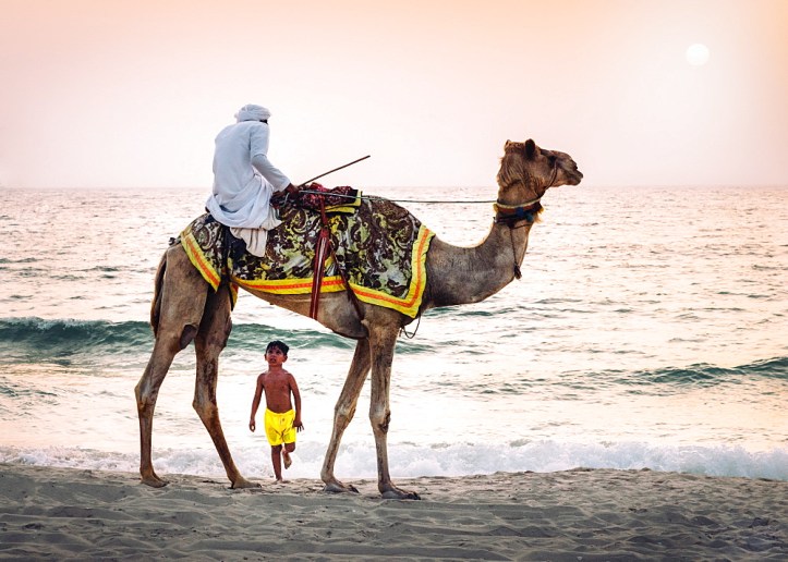 Boy stares in amazement at Arabic man wearing a thawb riding a camel on a beach, Dubai, UAE