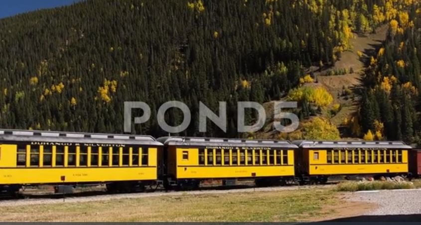 train
