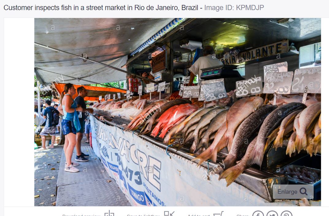 fish