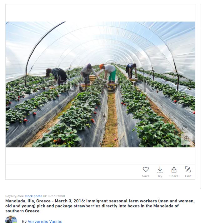 farm workers
