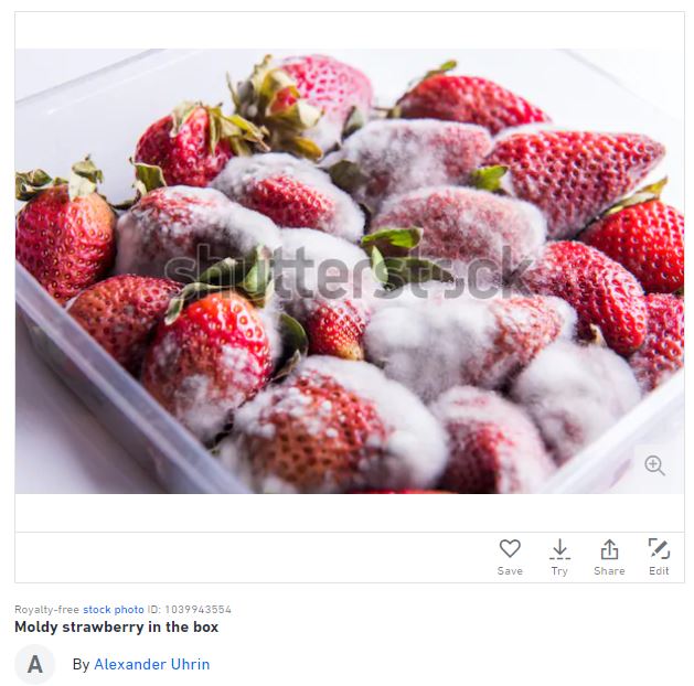 spoiled strawberry
