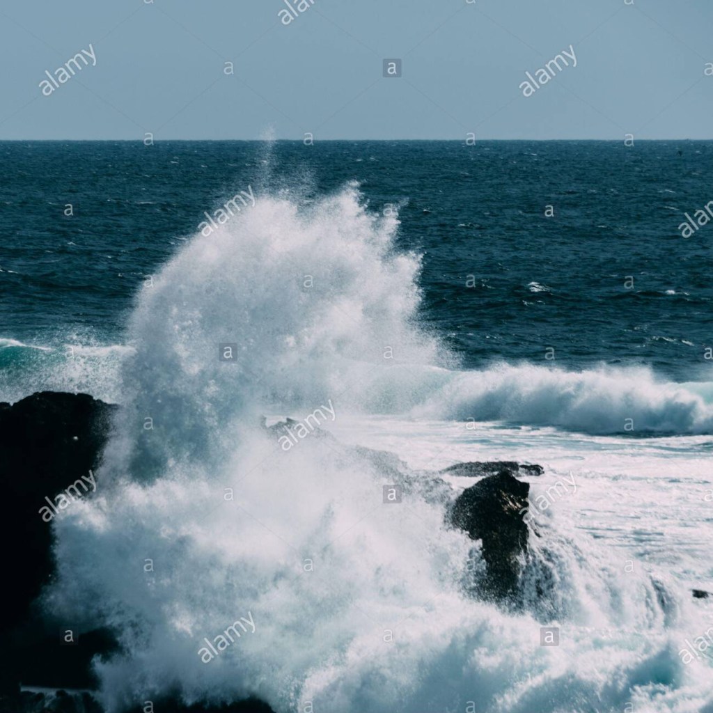 Shutterstock Earnings Cut – Hitting Them Where it&nbsp;Hurts!