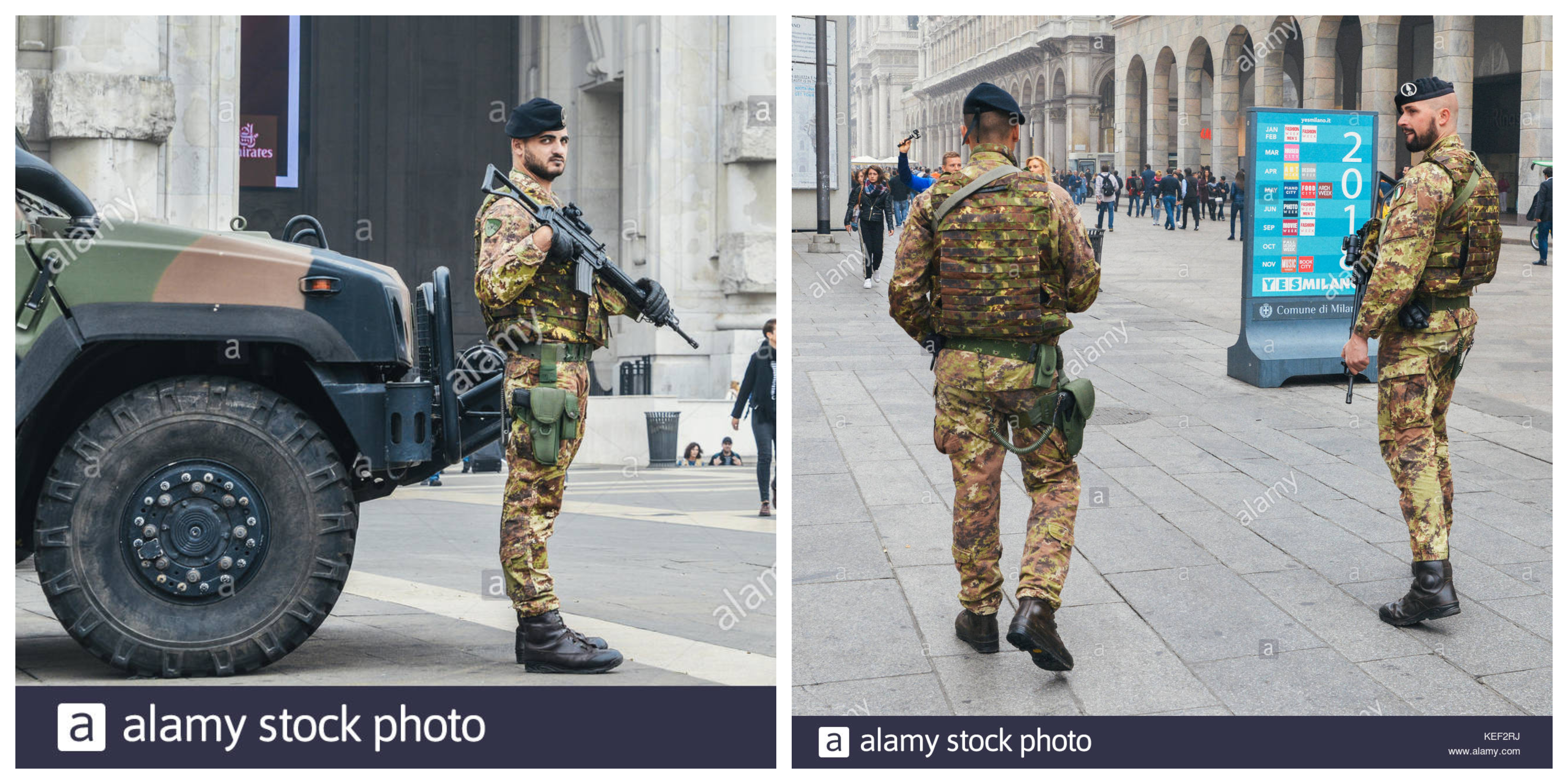 Alamy personal usage