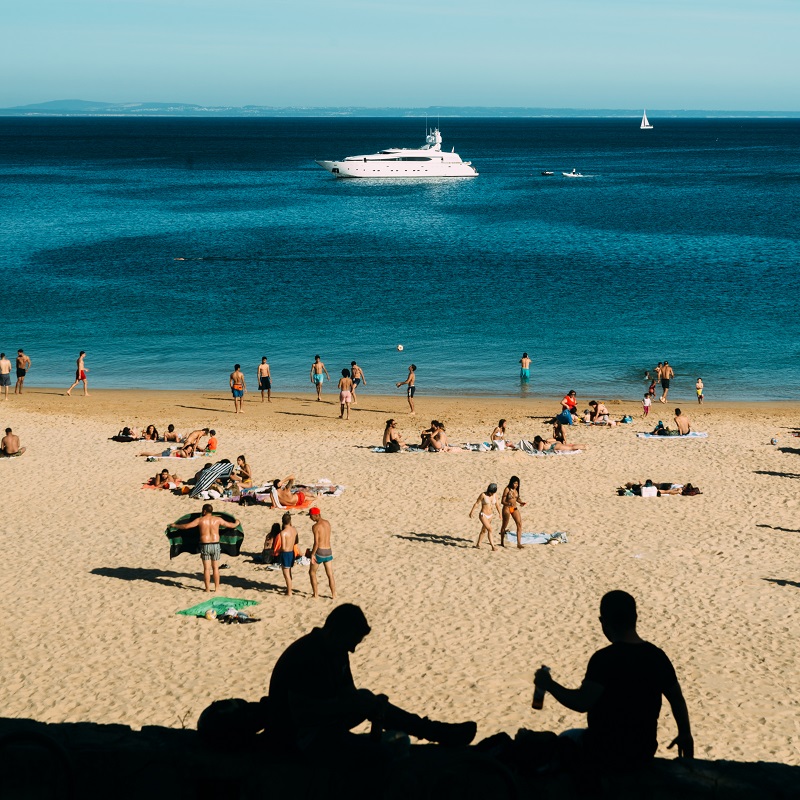 May 2020 Brutally Honest Earnings Report + Shocking Shutterstock&nbsp;News