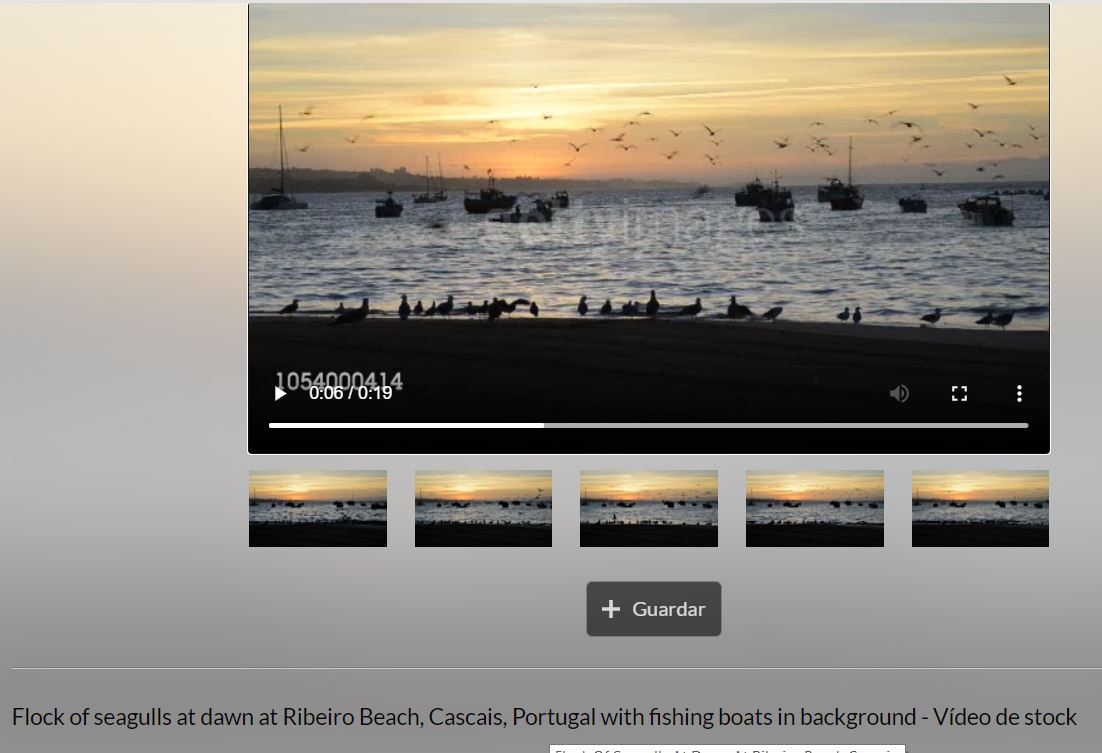 Cascais birds
