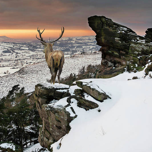 Interview with Matt Gibson, UK-based Landscape, Nature and Wildlife&nbsp;Photographer