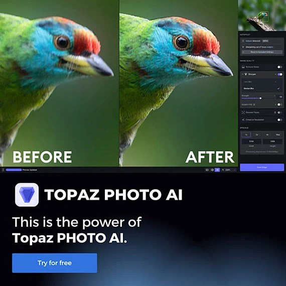 Review of Topaz Sharpen AI&nbsp;Tool