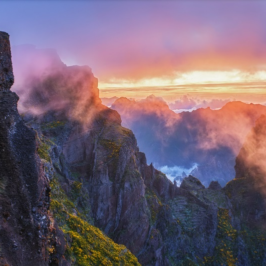 Case Study: Will Dmitry Rukhlenko Profit from his Trip to&nbsp;Madeira?