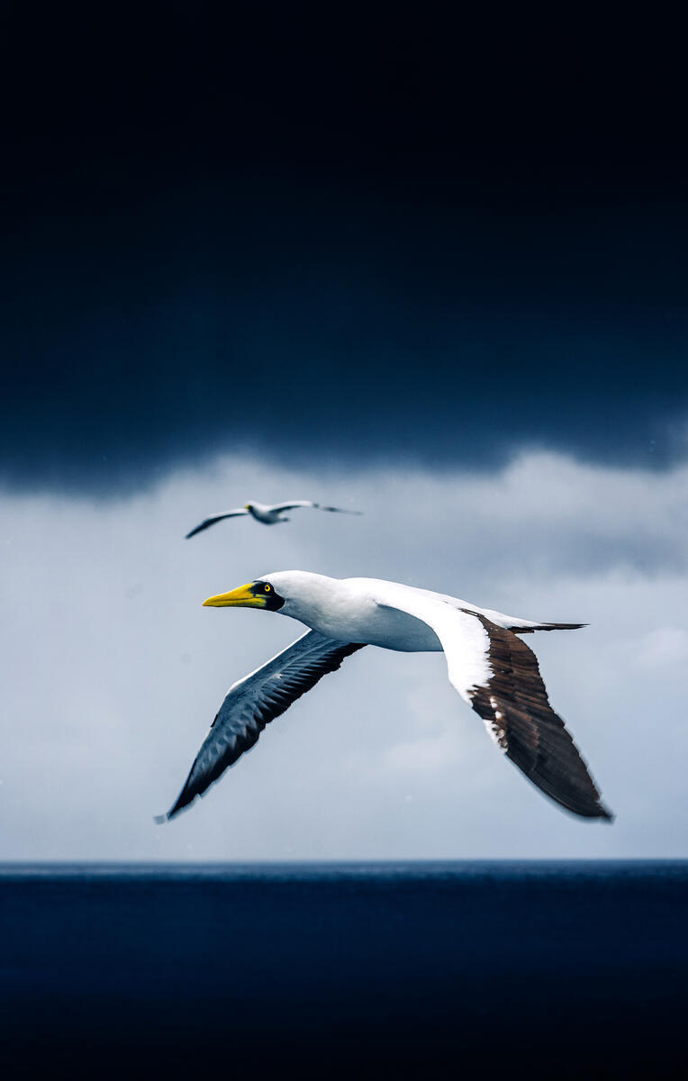 April 2025 Brutally Honest Earnings Report – Live From the Middle of the&nbsp;Atlantic