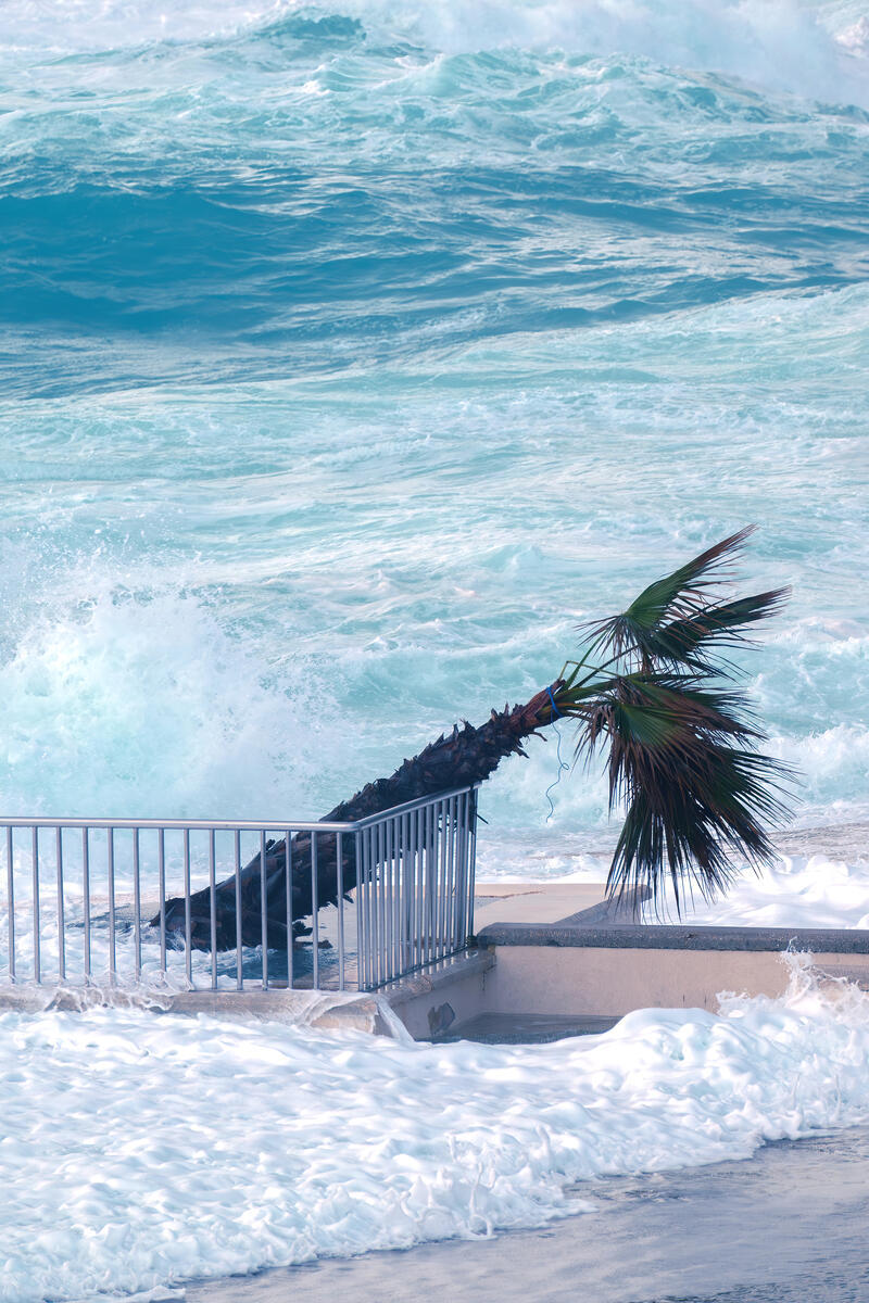 January 2026 Brutally Honest Earnings & News Report